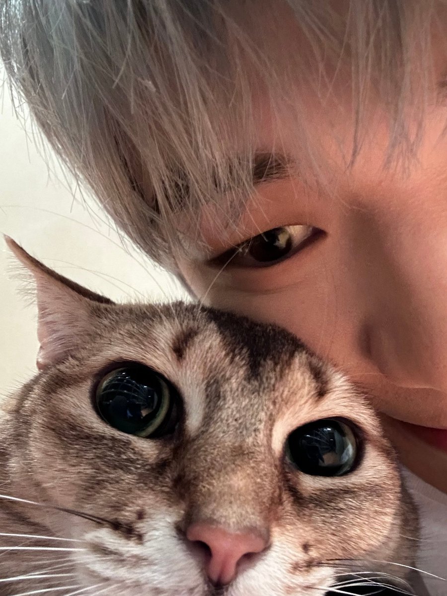 AmizaSherry's tweet photo. Daniel &amp; Ori 😍😍 https://t.co/QdZbNRsmze