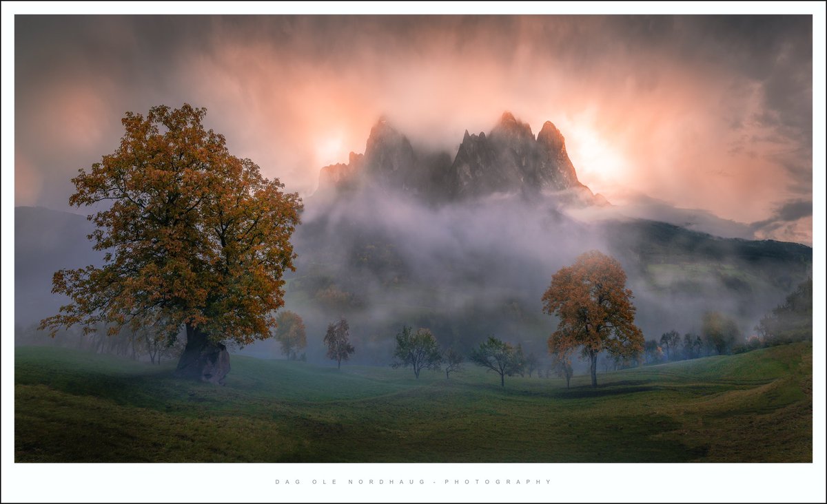 Dag Ole Nordhaug tweet media