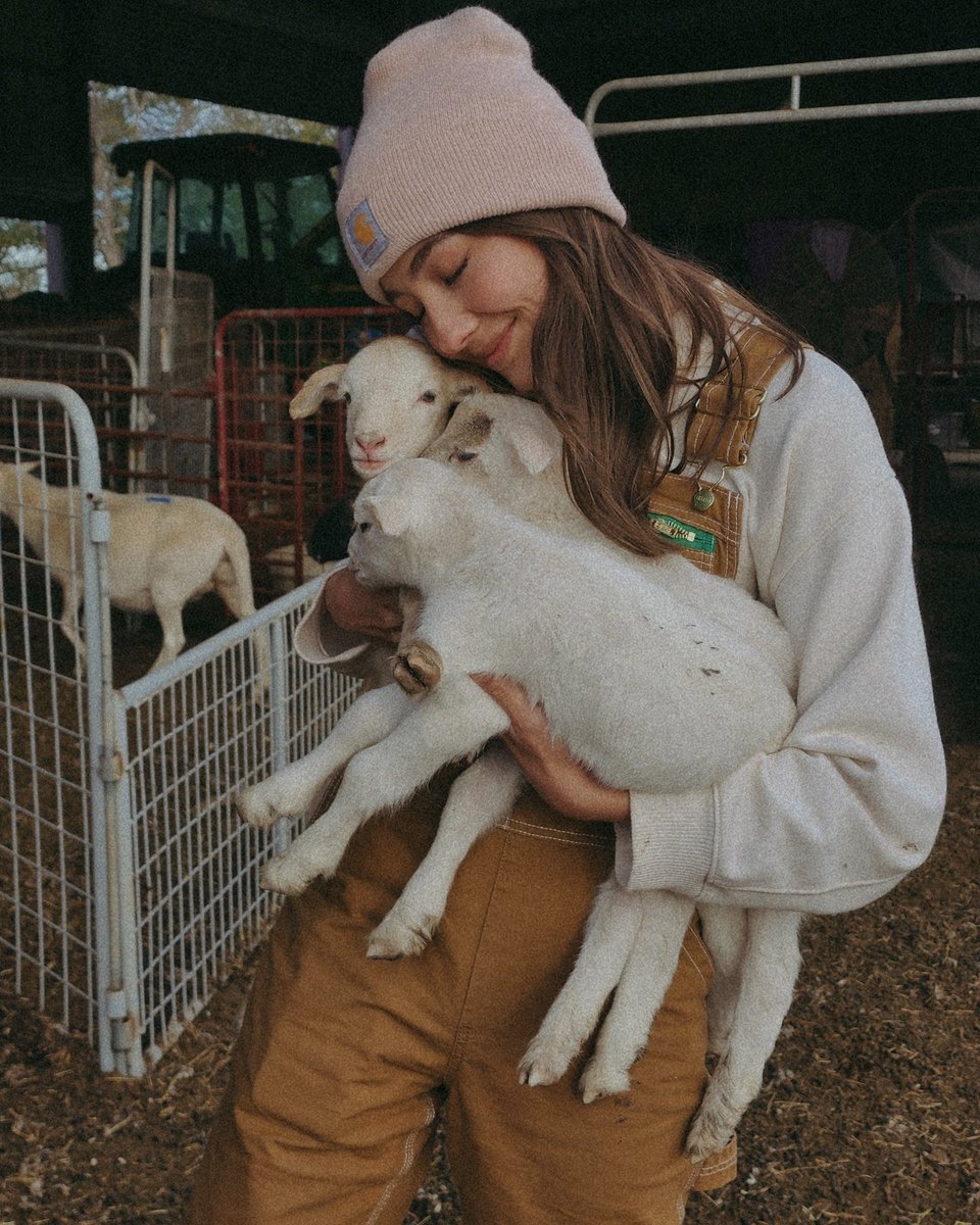 coraanders's tweet image. 🐐