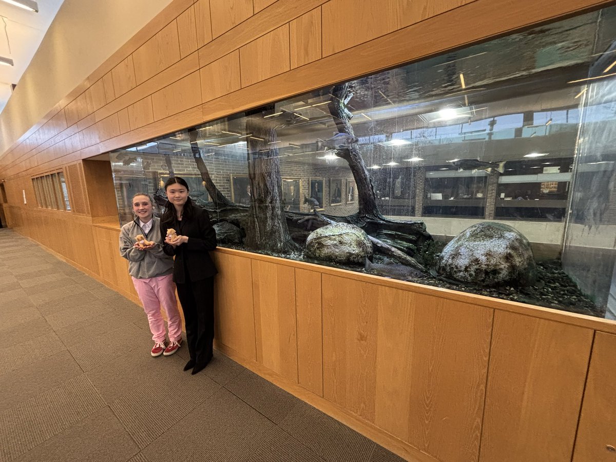 BereaMidpark4n6's tweet image. And thanks to a reconfigured formula to calculate team sweepstakes points (based on a more success-per-capita model, despite overall team size)—your Titans finished tied for 2nd place in team sweeps! Way to go, girls! #BeTitansTogether #YesThatsAnAquariumintheWall