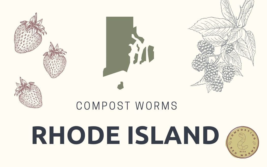 CompostingWorm's tweet image. You can compost, even in the smallest state- and smallest spaces.
Learn about indoor vermicomposting and how to get started in Rhode Island
compostingwithredworms.com/buy-compost-wo…