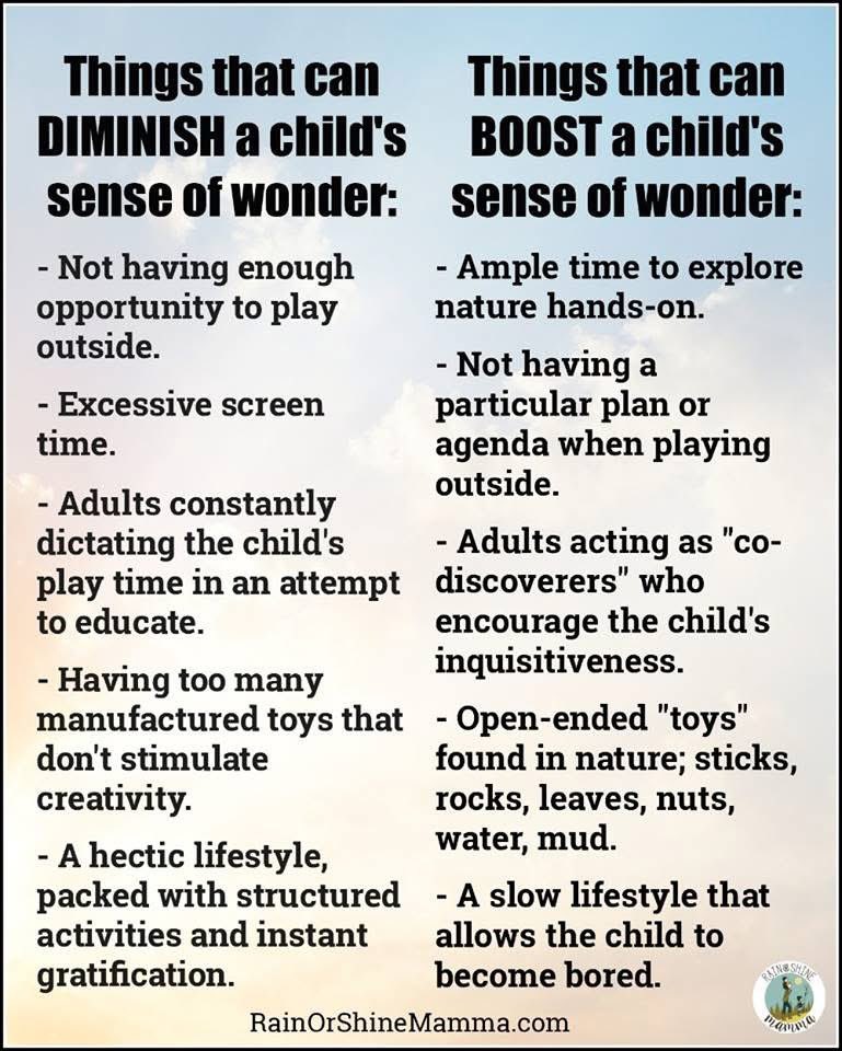 MudandBloom's tweet image. Via @rainshinemamma