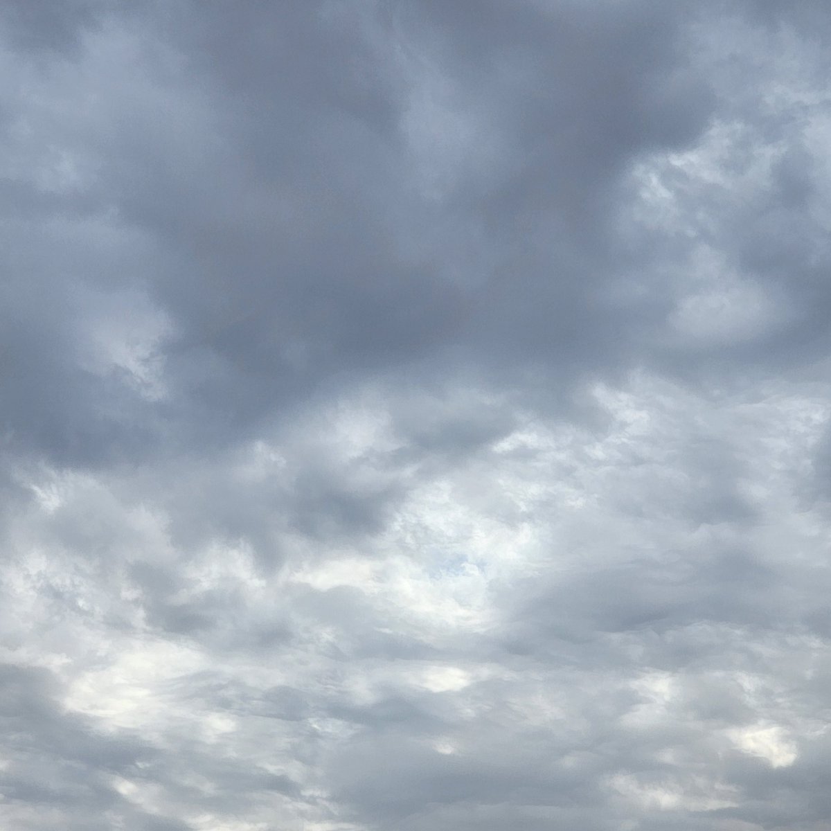 بُولِيآنثآ☁️🍃 tweet media