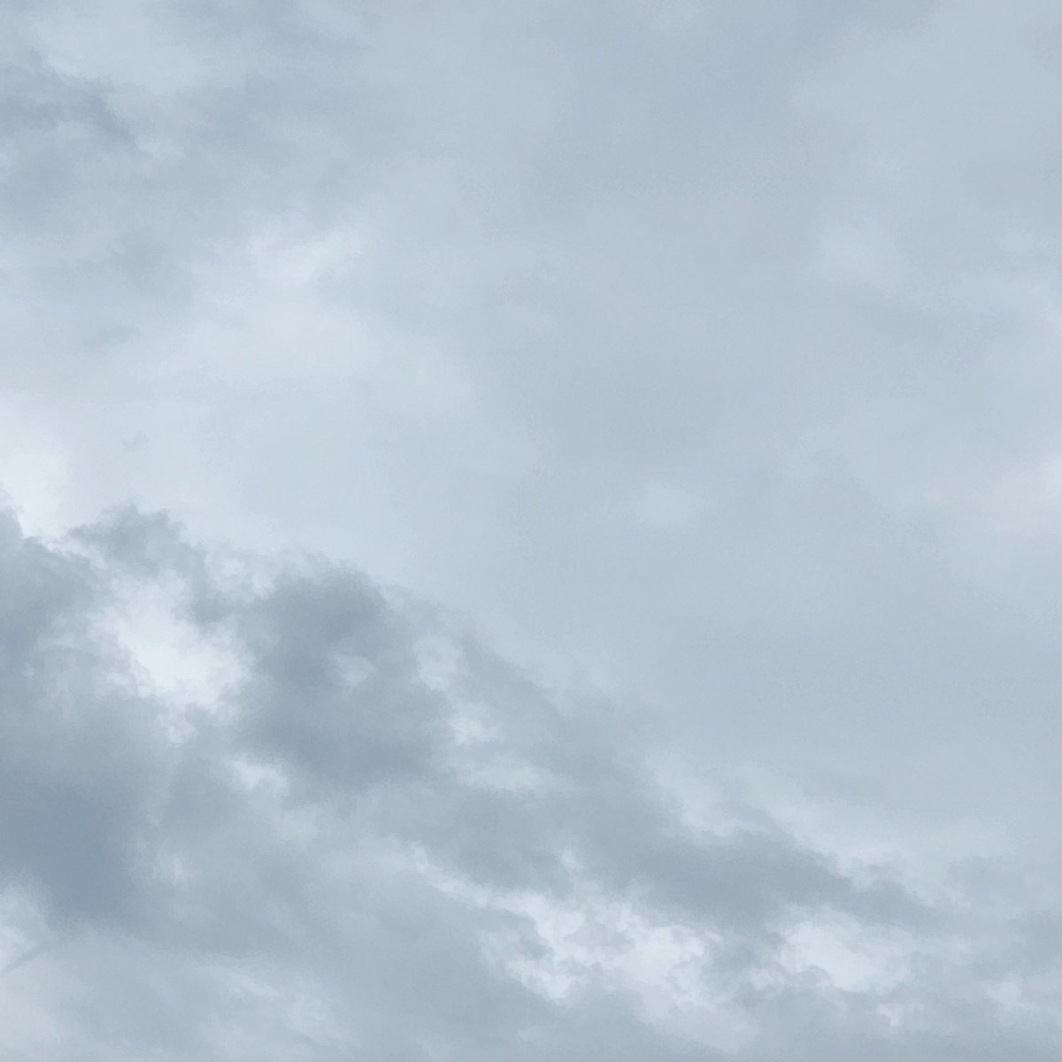 بُولِيآنثآ☁️🍃 tweet media