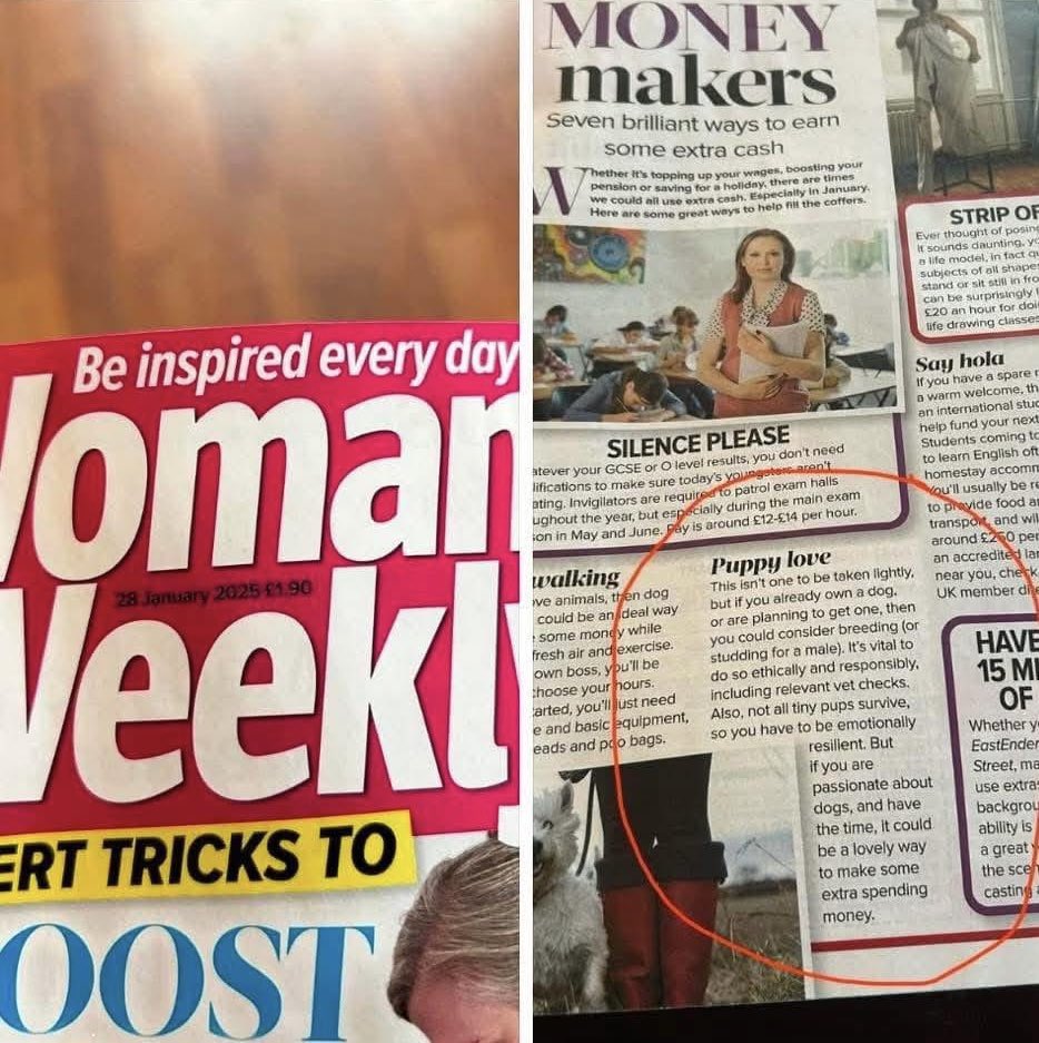 The_Animal_Team's tweet image. I CANNOT BELIEVE THIS!!! @WomansWeeklyMag are you for real?!?! Breeding dogs to make extra spending money?!? 

I suggest you go to the pounds up and down the country and look at the faces with minutes/hours/seconds left to live. Tell those poor souls that it’s OK and not to be…