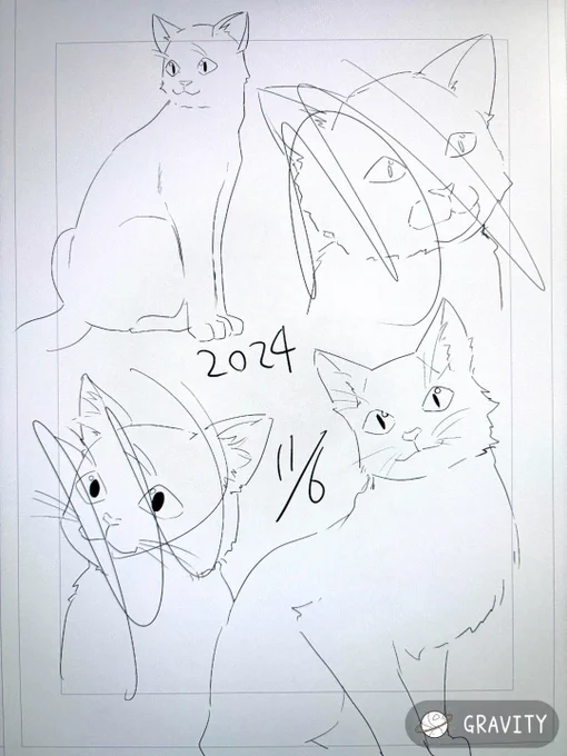 猫の練習ビフォーアフター 去年からやって3ヶ月弱ぐらい