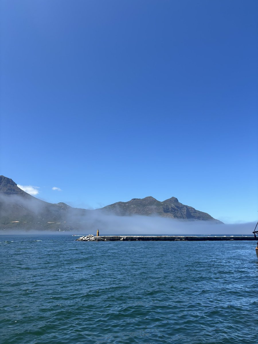 MyFamilyFilm's tweet photo. Hello Cape Town!

Our crew have arrived safely and have spent some time exploring some of the beautiful scenery around the city, preparing to capture it on film next week. 

What’s your favourite beauty spot? https://t.co/Nsy3SZyprg