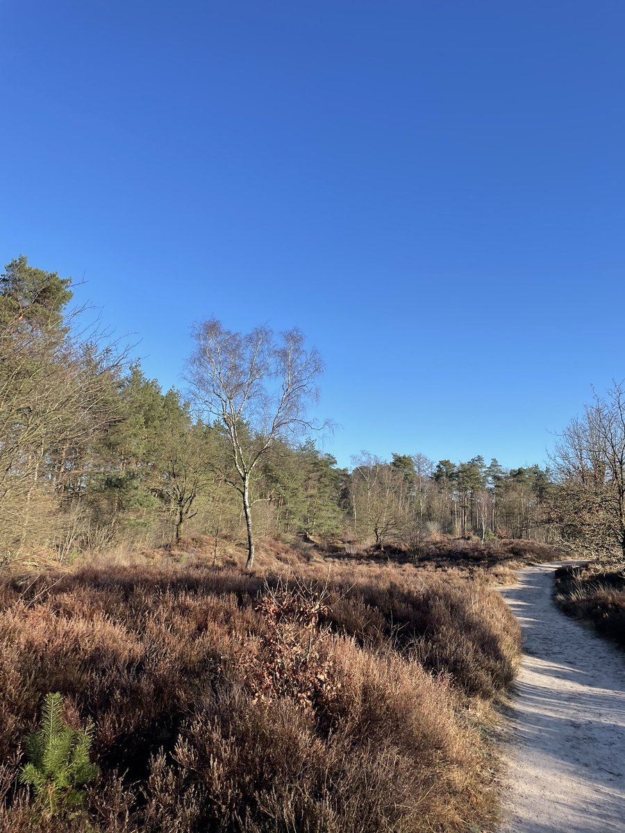 EwoutJansen's tweet photo. Lekker loopje, er is weer licht! Jammer van die vliegtuigen…kssst! #Soest #DeStulp https://t.co/qtqRrJWaEt