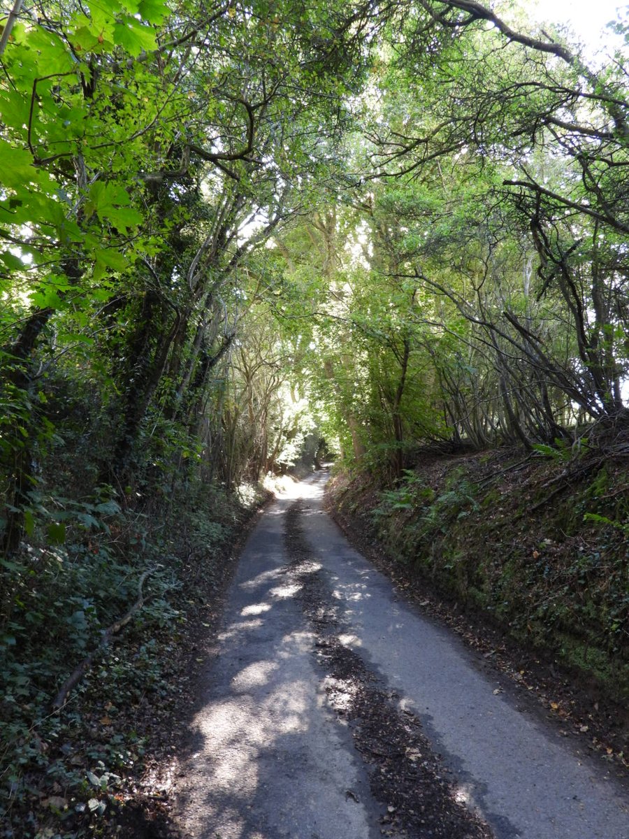 On the 19th April 1828 a mole-catcher called Thomas Marten made his way up this lane. He was heading for a local landmark called The Red Barn which was situated outside the village of Polstead in Suffolk. Thomas had been sent there by his young wife to look for a body THREAD 1/14