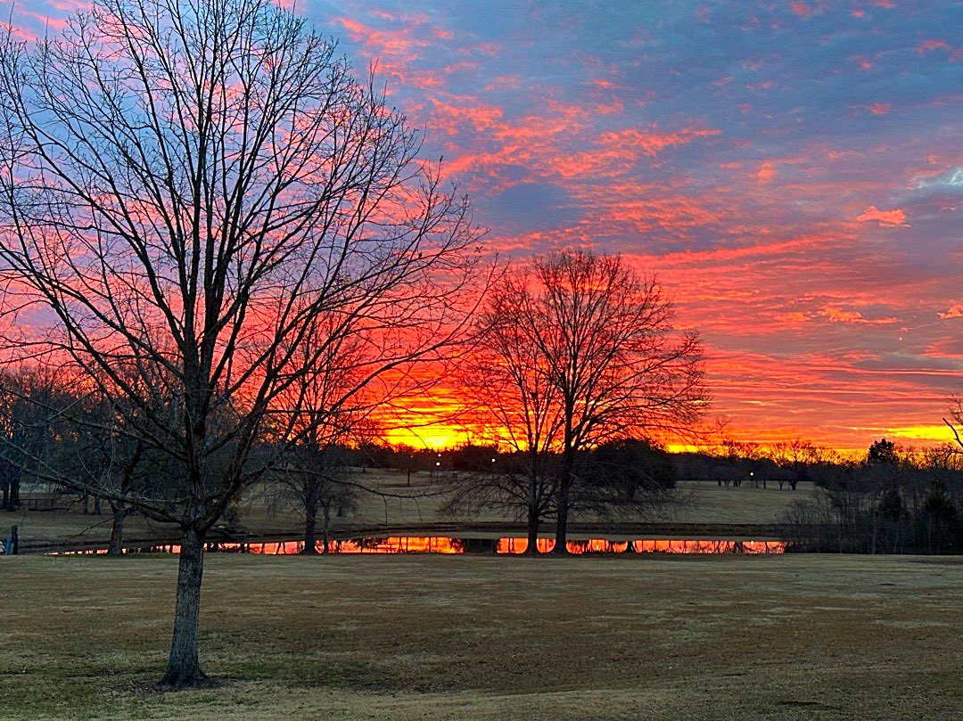 RichThomasWX's tweet photo. First Non-freezing morning in many many moons.  FINALLY.  A big turn-around this week! https://t.co/CKTlgXbBvf