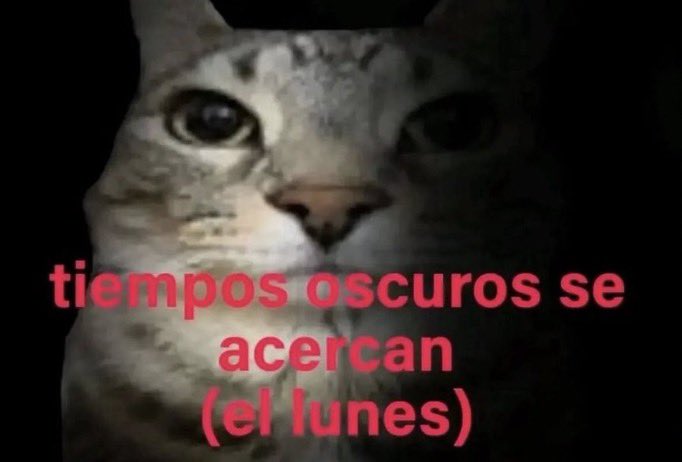 Memakker (@memakker) on Twitter photo 