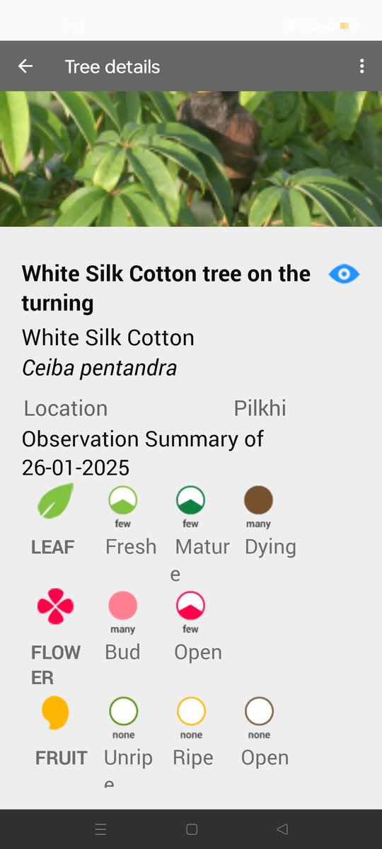 Shyam PHARTYAL; #1stGen MS/PhD; Seed Ecologist🌰🌱 tweet media