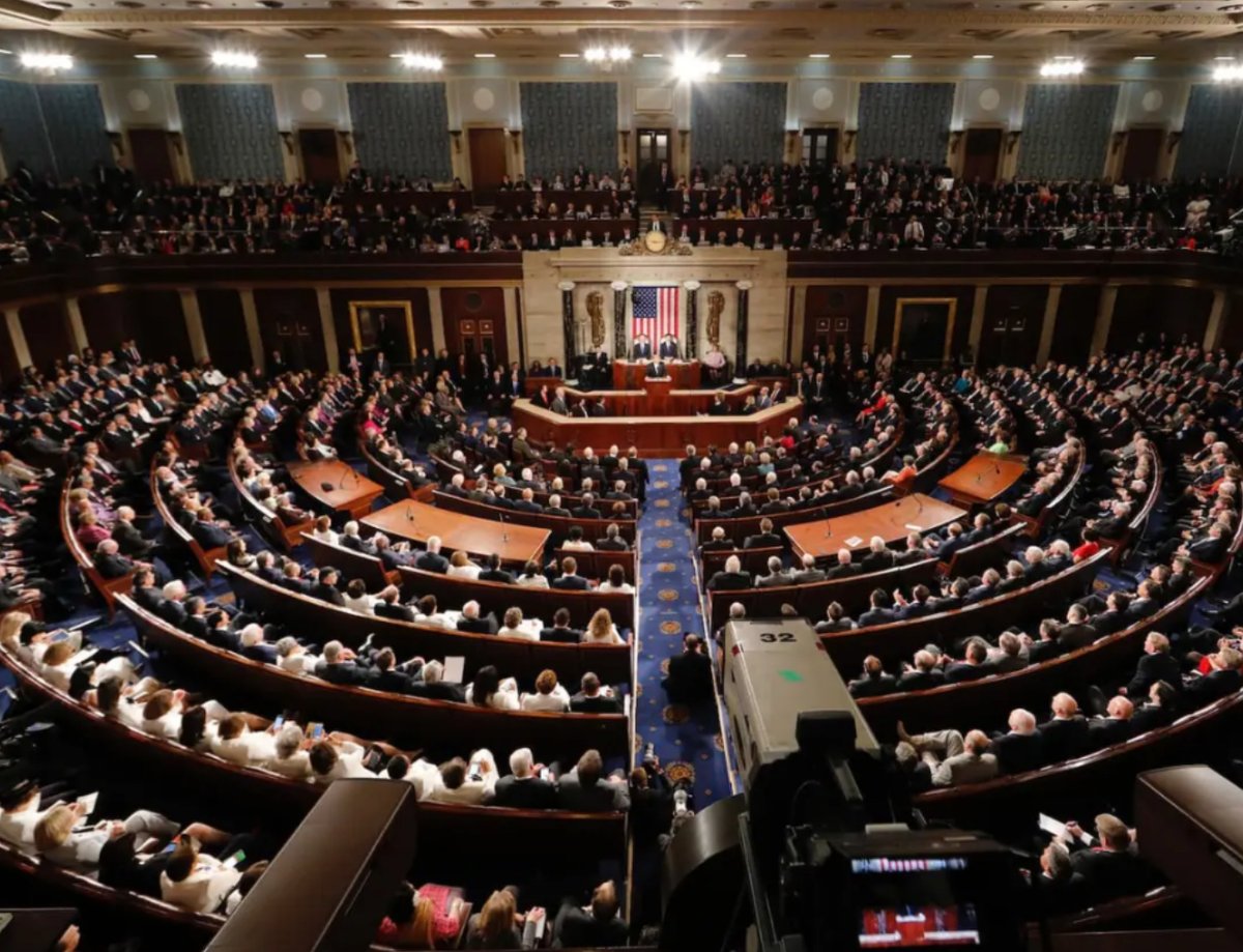 MAGAVoice's tweet photo. Who thinks Congress should pass a Federal Voter ID Law stopping the Future Steal in Elections ? https://t.co/cwarDaGY3t