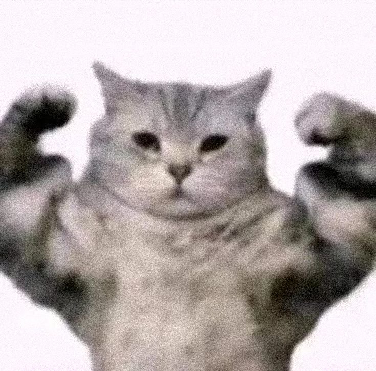 geprekdinoo's tweet photo. kemarin ada yang ngirim foto kucing ini terus ngingetin aku sama satu fotoku yang ini WKWK😭💀🤙🏻 https://t.co/xQWM0lj21F