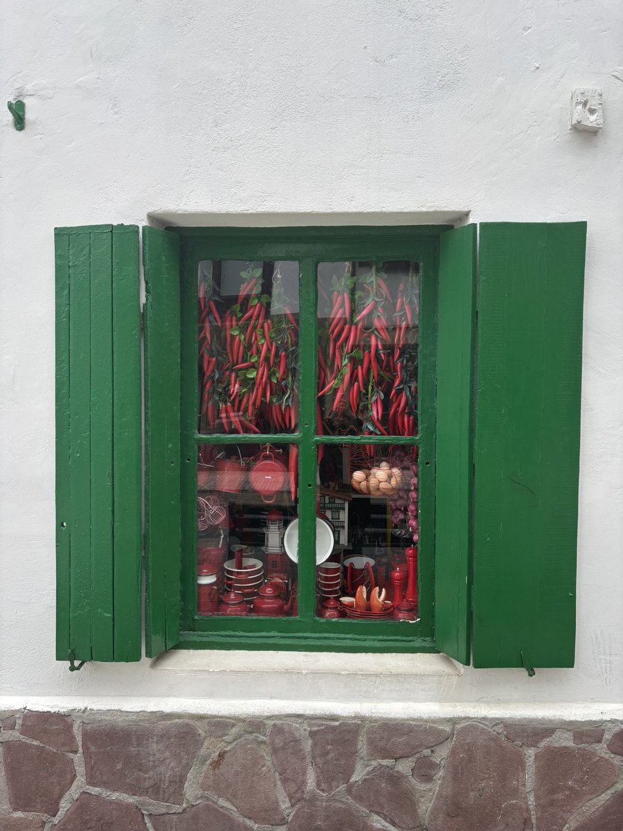 squirogafl's tweet image. Conozco poca gente q haya pasado por Fuenterrabía y no le haya hecho una fotografía a este escaparate 
#fuenterrabia 
#rosarioberrotaran
