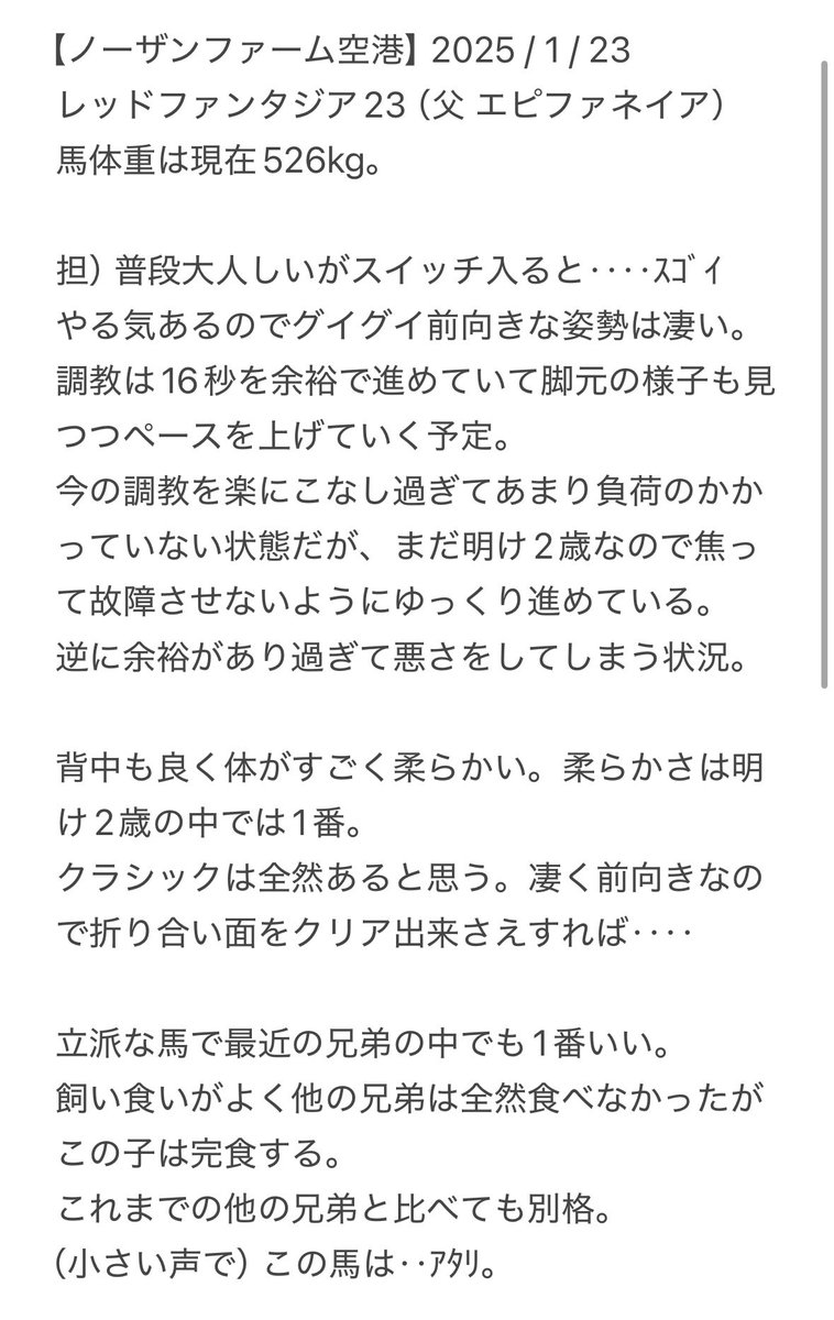 KAWAZO001's tweet photo. 2025/1/23  ノーザンF空港見学報告
東京サラブレッドクラブ
レッドファンタジア23 牝（父 エピファネイア）

歩様動画をご覧になられたい方はご連絡いただければDMにてお送りいたします。
※既にご連絡いただいている方へは順次お送りいたしますので今しばらくお待ち下さい。 https://t.co/23t9d72TVe