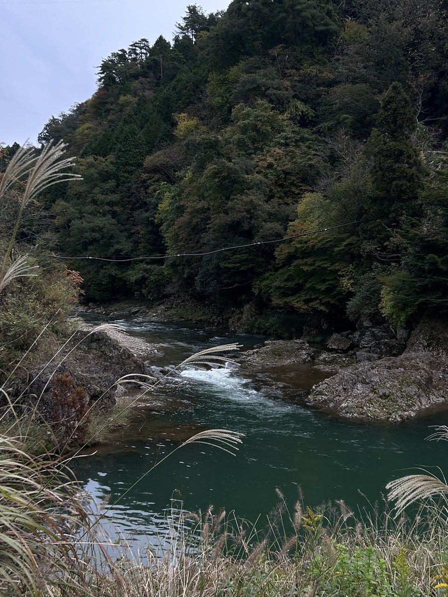 自然求ム