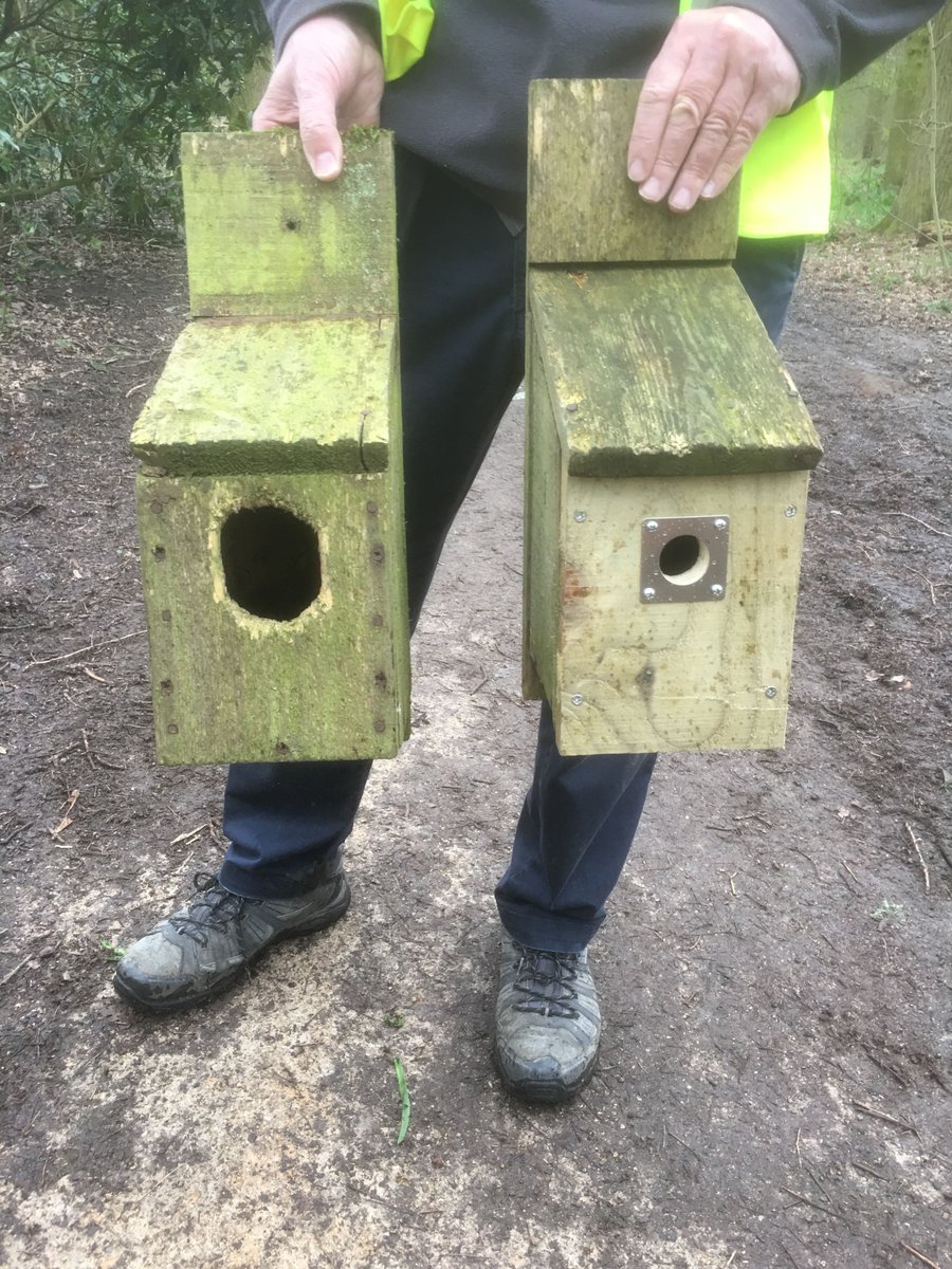 Our next Task Event will be on Saturday 1 February 10.00 - 12.00 noon. We will meet at the Springwood Drive entrance to Chaddesden Wood. Please wear appropriate footwear &amp; clothing and bring gardening gloves if you have them. <a href="/derby_parks/">Derby Parks</a> <a href="/oakwoodderby/">Oakwood Derby</a> <a href="/Natures_Voice/">RSPB</a>