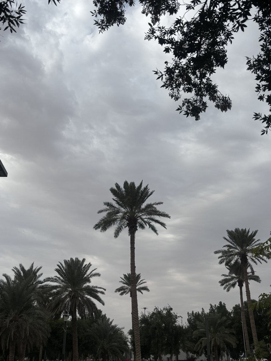 Raneem⚕️ tweet media