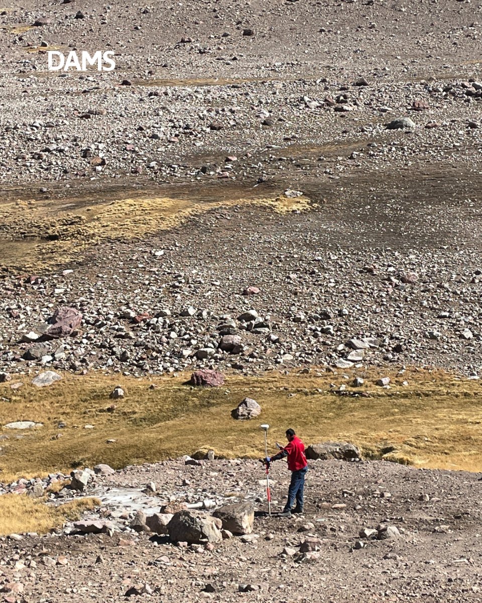 DAMS Ingeniería tweet media