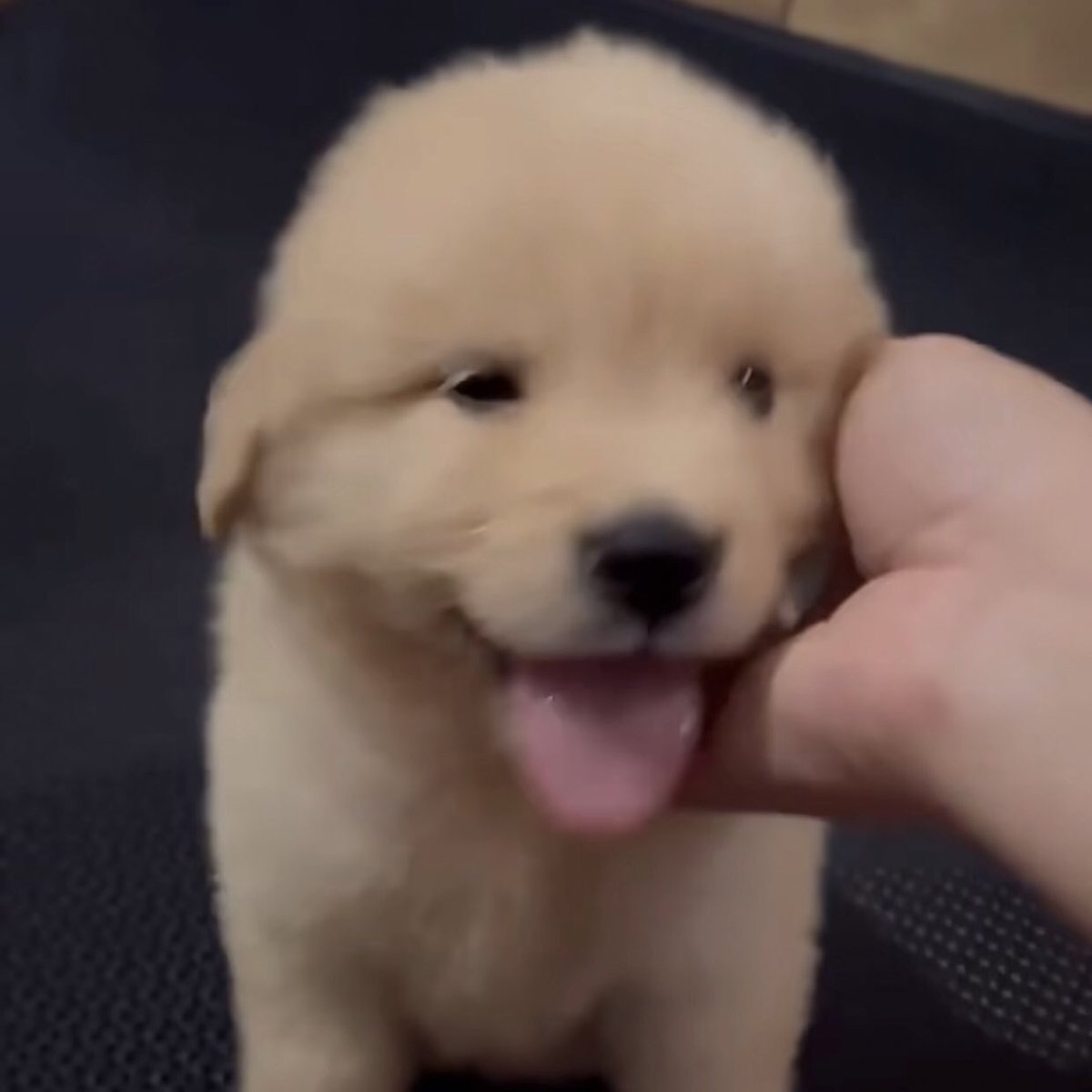takemybear 🐶 tweet media