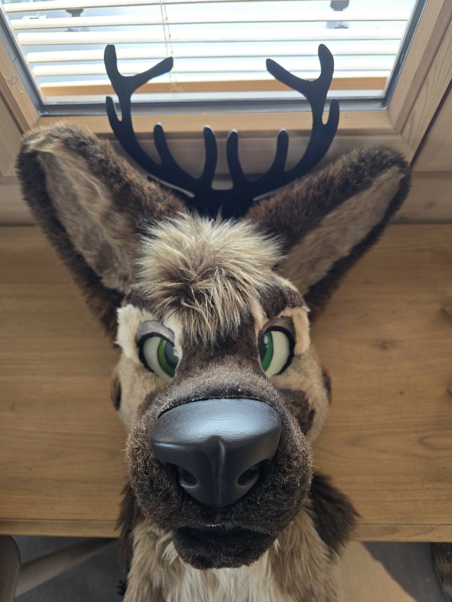 Guess I'm a deer dog now? 🤔