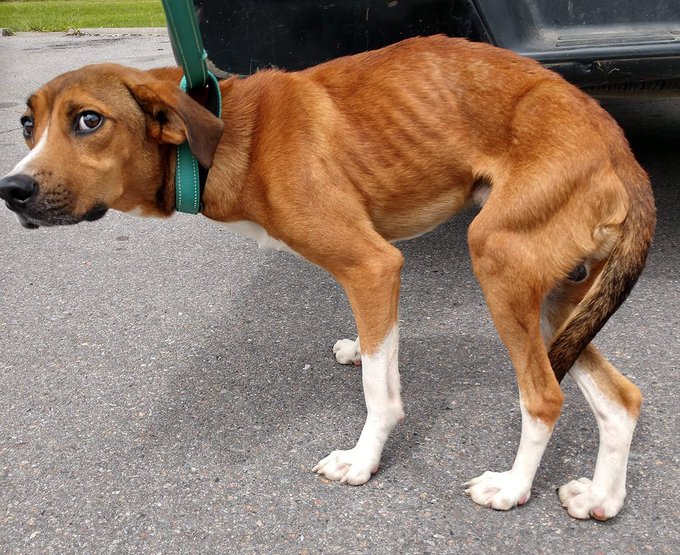 Never give financial advice to your family members,My Uncle Joshua a genius and a drunkard of my village aliwai angukia 30k akaniuliza aingie biz gani, nikamshow kinyozi, he did it alafu akaporwa kila kitu adi ile kamkia, 14yrs later bado anasema nilimshow abuy kinyozi ndio niibe