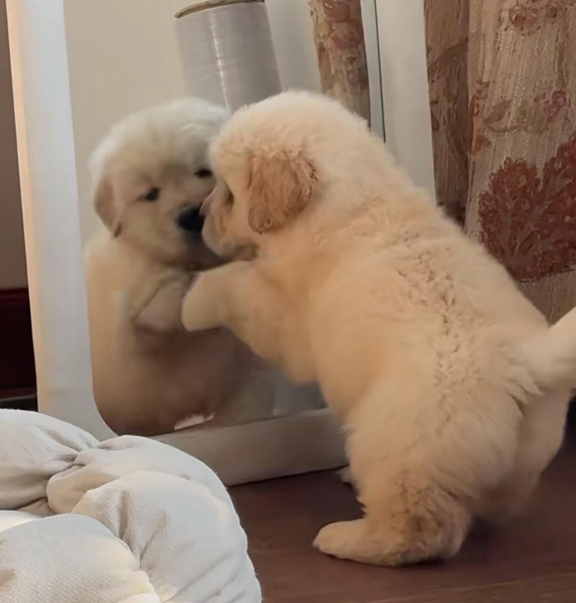 ก้อ้วมเกินไปเลยไม่น้ารัก ล่ะมั้ง (งอน)