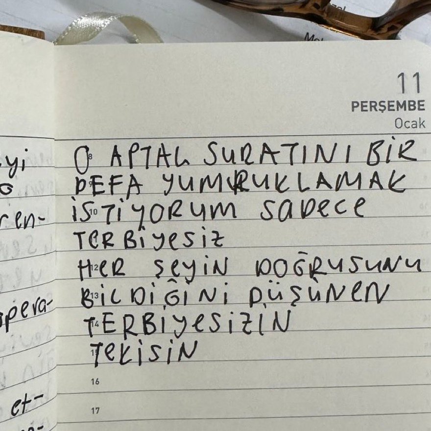 günlük tutmak beni çok rahatlatıyor ya dedikten sonra günlügüme yazdıklarım