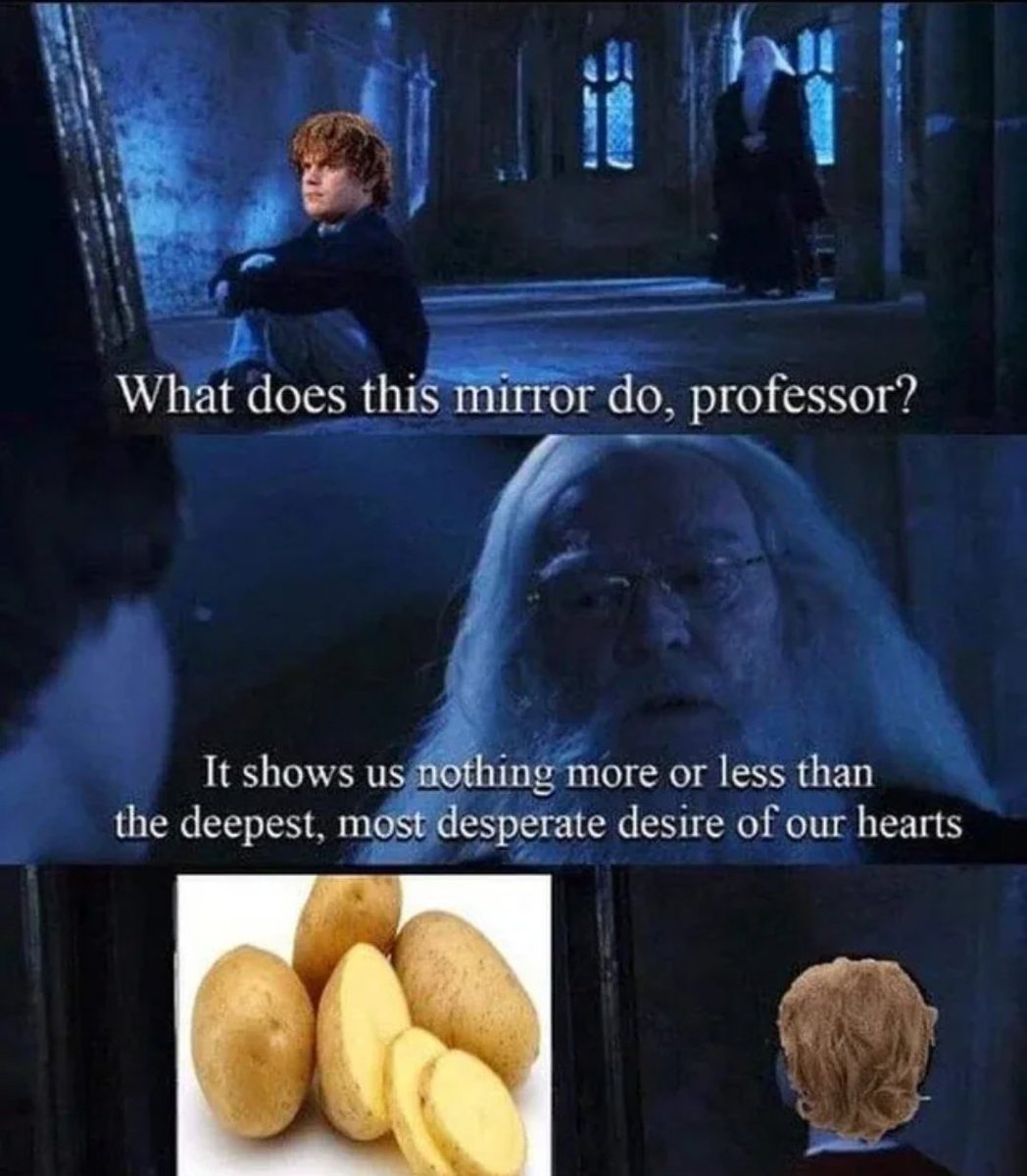 AllboutHogwarts's tweet image. Potatoes are SO elite. 😋

#harrypotter #albusdumbledore
