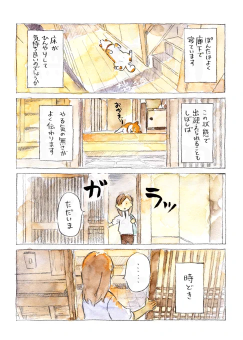 夏の話

「廊下布団」 