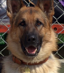 Disney_Wiki's tweet image. Happy Birthday to the late, Bob Uecker
For Disney, he voiced Trixie Uecker in #HomewardBound II: Lost in San Francisco, a Sports Announcer in #PuppyDogPals, and Bob Yucker in #MonstersAtWork.