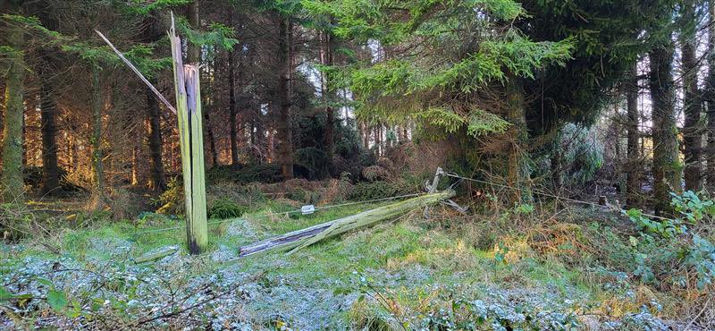 ESBNetworks's tweet photo. Unprecedented damage to the electricity network by Storm Éowyn - ESB Networks publishes estimated restoration times on https://t.co/hWag1LtX5d 
 
Press release: https://t.co/k4KPukNzOy https://t.co/c9QHgIJNNf