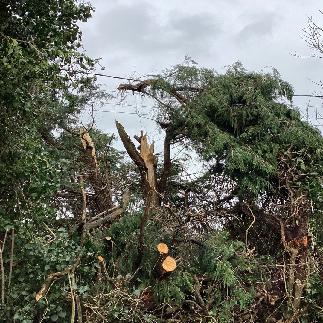 ESBNetworks's tweet photo. Unprecedented damage to the electricity network by Storm Éowyn - ESB Networks publishes estimated restoration times on https://t.co/hWag1LtX5d 
 
Press release: https://t.co/k4KPukNzOy https://t.co/c9QHgIJNNf