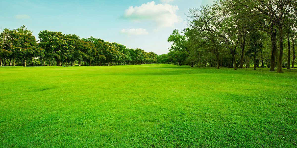 Vittorio tweet media