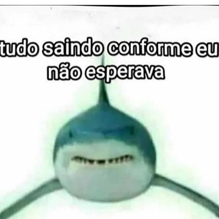 machadobl4's tweet photo. Entrei no twitter só pra não ficar ansioso sozinho esperando o resultado do Sisu
#Sisu #sisu2025 https://t.co/0VBhVmoEDM