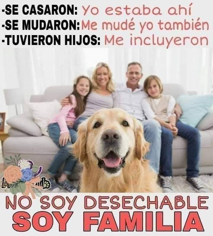 GRamirezF_D12's tweet photo. Buenos días Feliz domingo ✨💖 https://t.co/z4m71179YP