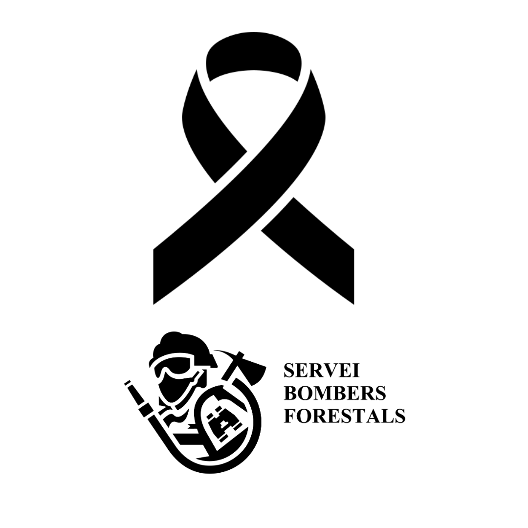 El Servicio de Bomberos y Bomberas Forestales de la Generalitat expresa sus condolencias por el fallecimiento del bombero forestal Jesús Salvador Pérez Pérez.

El compañero, fallecido con 62 años, pertenecía a la unidad de Vall d'Alcalà con más de treinta años de trayectoria
