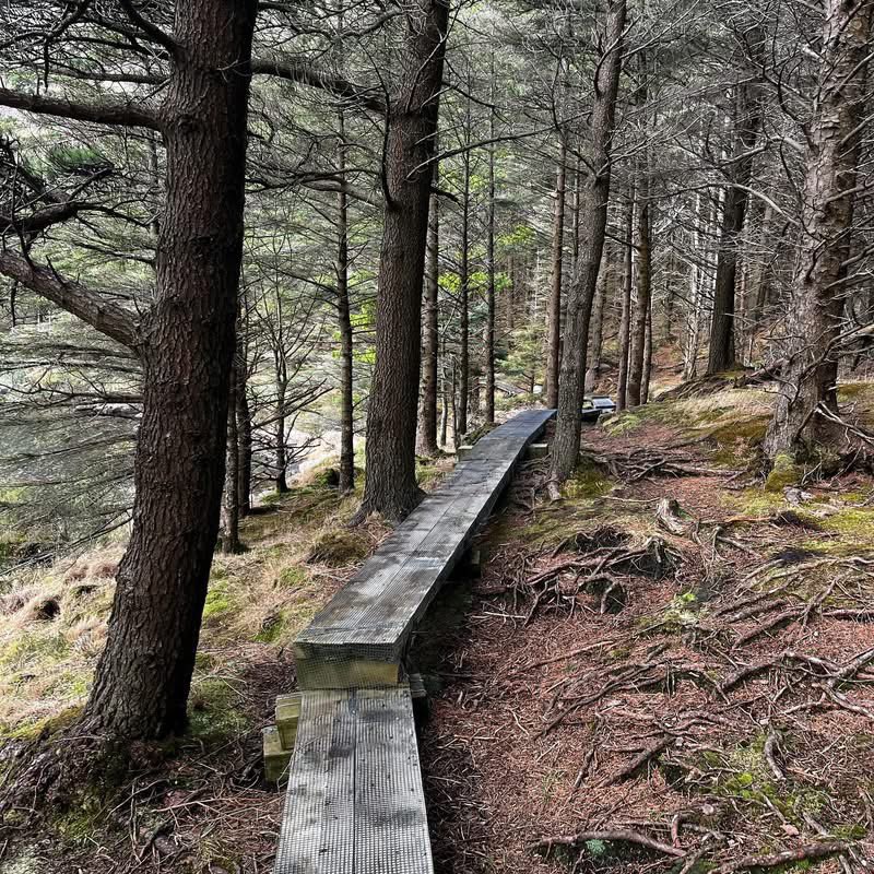 New Wave Adventure tweet media