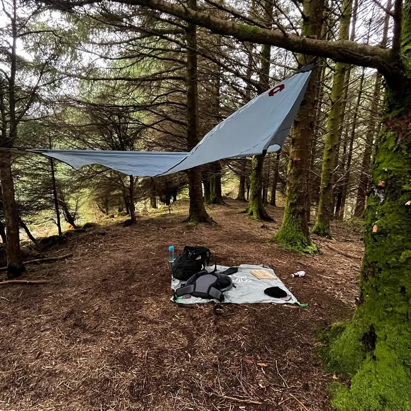 New Wave Adventure tweet media