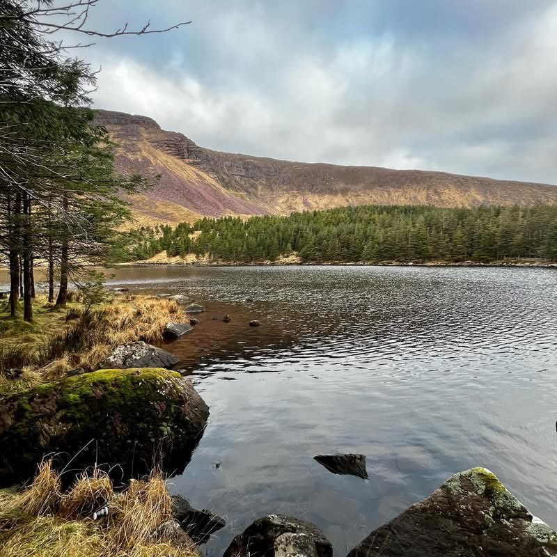 New Wave Adventure tweet media