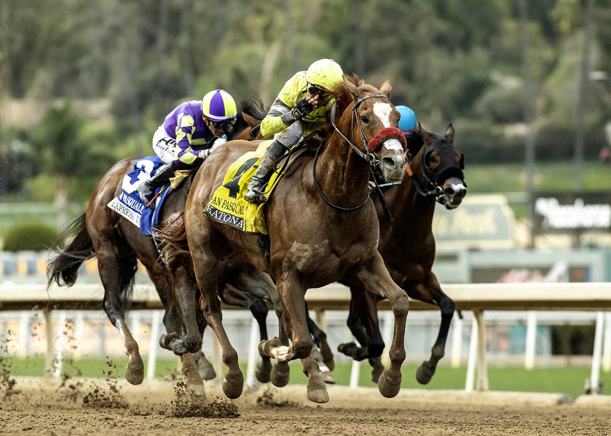 Katonah (blinkers off) = 93 Beyer last-to-first G2 San Pasqual on Sat at Santa Anita. Tiago Pereira for Doug O’Neill. Katonah’s 93 lowest fig for San Pasqual since race moved to late-Jan/early Feb seven yrs ago. $13.40 highest payoff same time. We’ll take it. (Benoit Photo) #DRF