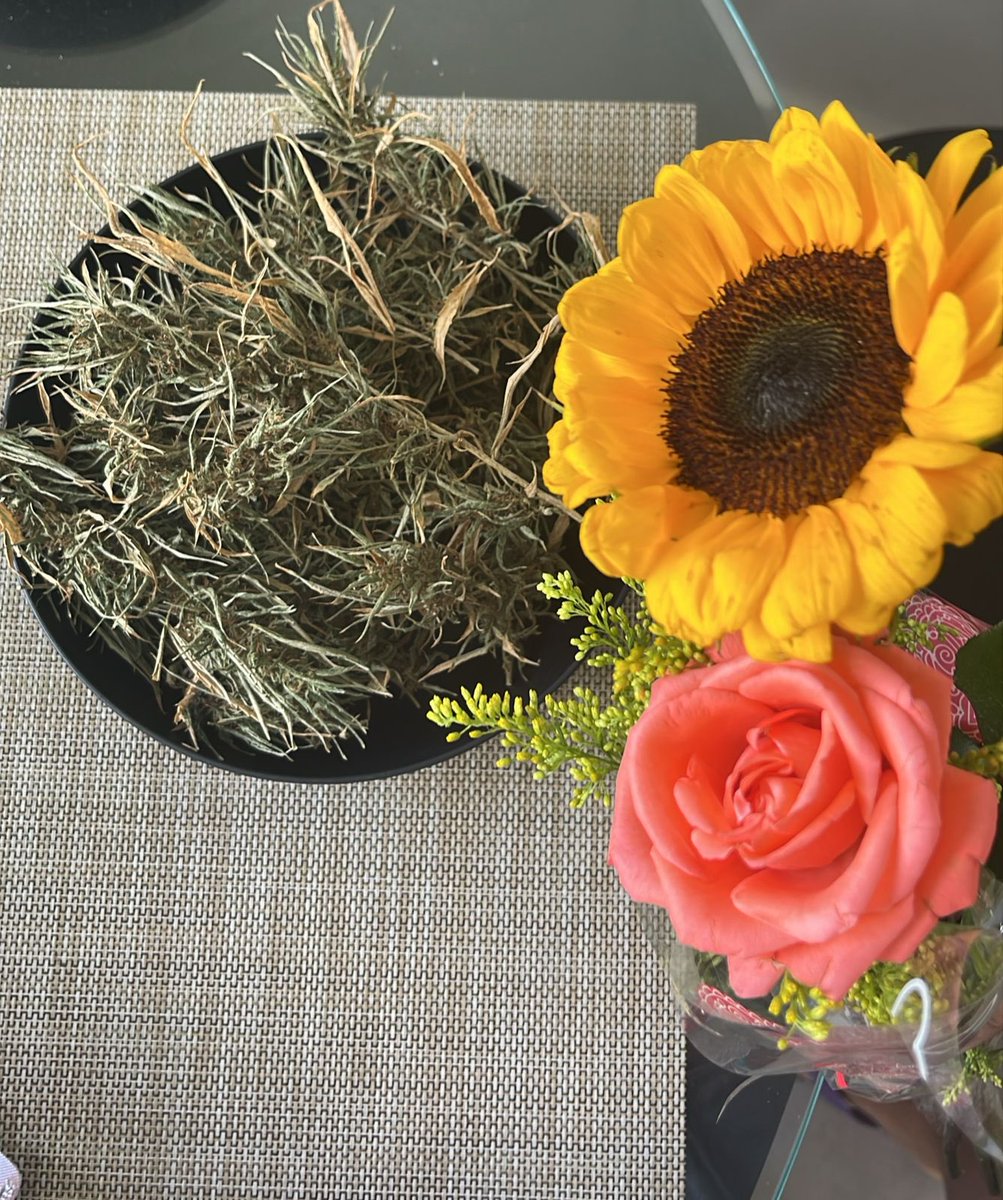 tiodogrow's tweet photo. Cada um com suas flores !!!! https://t.co/K3llOY9pzn