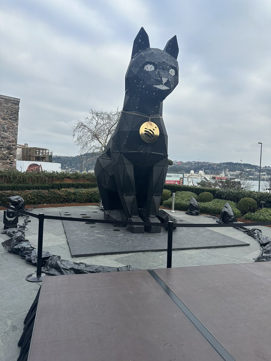 You’re not bullish enough. $jup