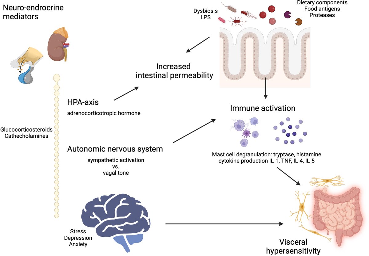Gut Journal tweet media
