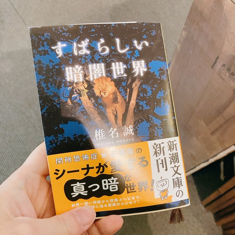 choku70's tweet image. #booklab 今日の収穫。読書室ポワロさんスタンプ100個記念にいただいた「地下世界をめぐる冒険」がよかったので、その余韻で椎名誠「すばらしい暗闇世界」を購入。目次見たところ洞窟、地底世界ばかりじゃないみたいだけど、読むの楽しみ。