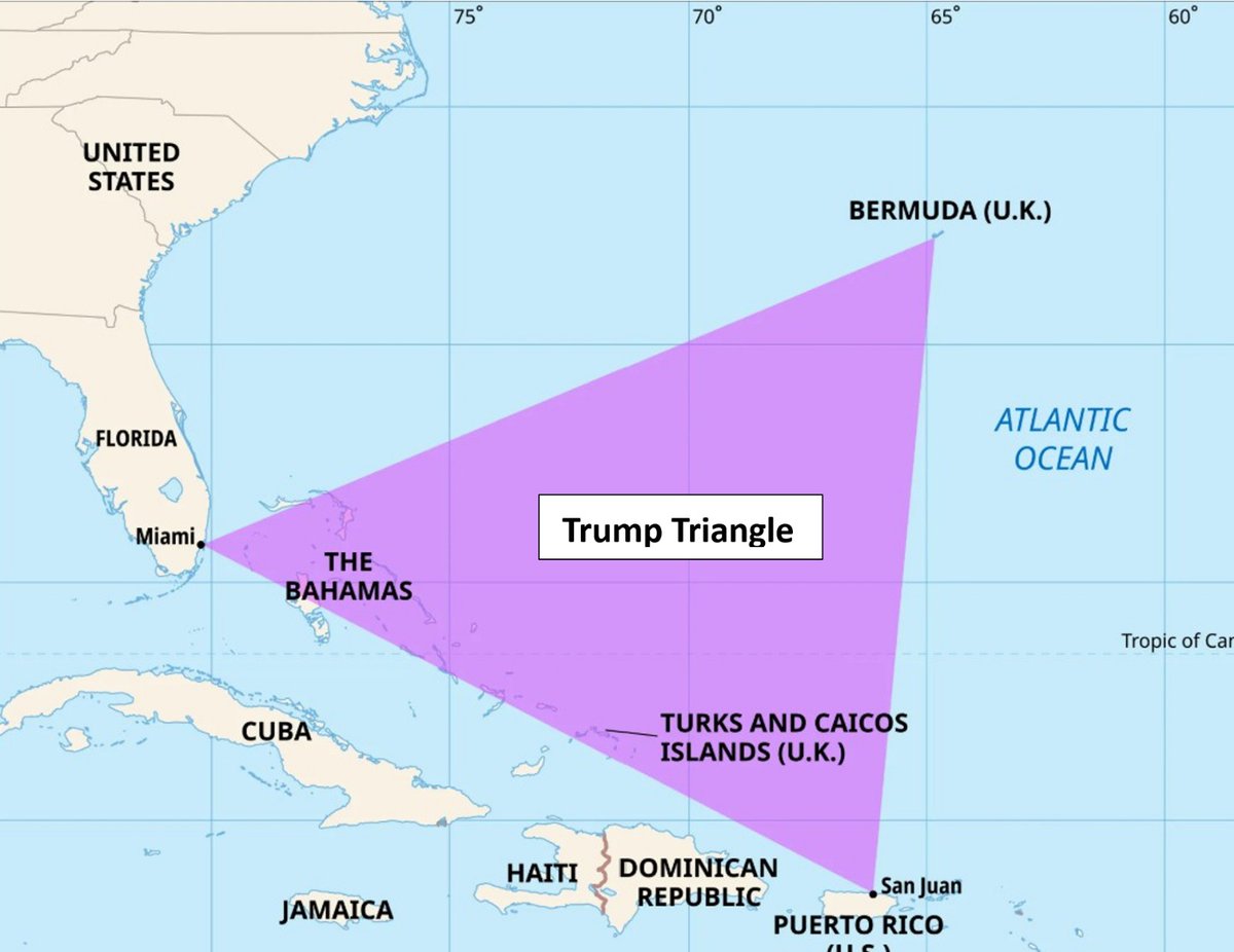 BertBrijs's tweet image. Hi @elonmusk what do you thnk of this update? Since everything the Great Grifter gets his hands on disappears never to be seen again.