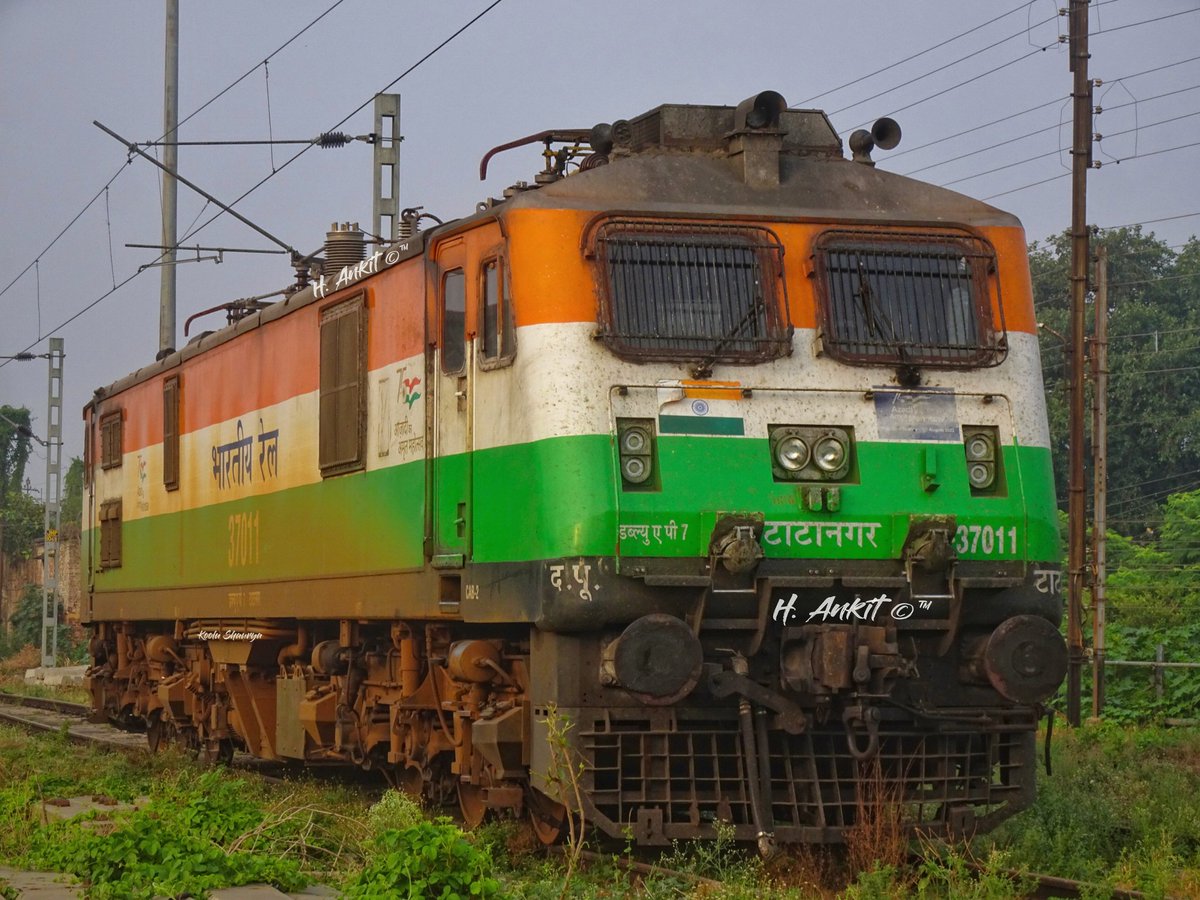 HAnkit_RF's tweet photo. Happy Republic Day From Tricolor Tata WAP 7 37011 Standing At Jamalpur!

#tiranga #tricolor #flag #republicday #wap7 #tatanagar #tata #tricolorlocomotive #happyrepublicday #jamalpur #munger
#indianrailways #train #trainspotting

@drmmalda @serailwaykol @RailMinIndia https://t.co/FYK6L0gO4C