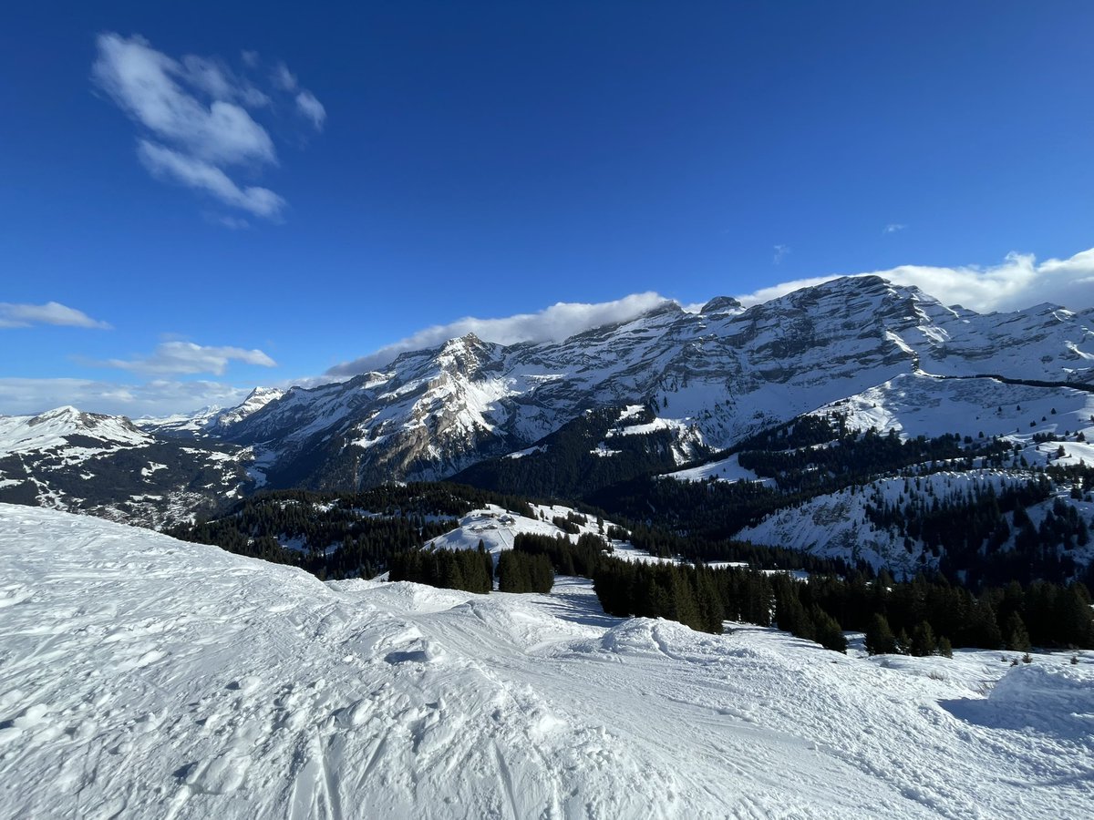 eurowinterbrain tweet picture