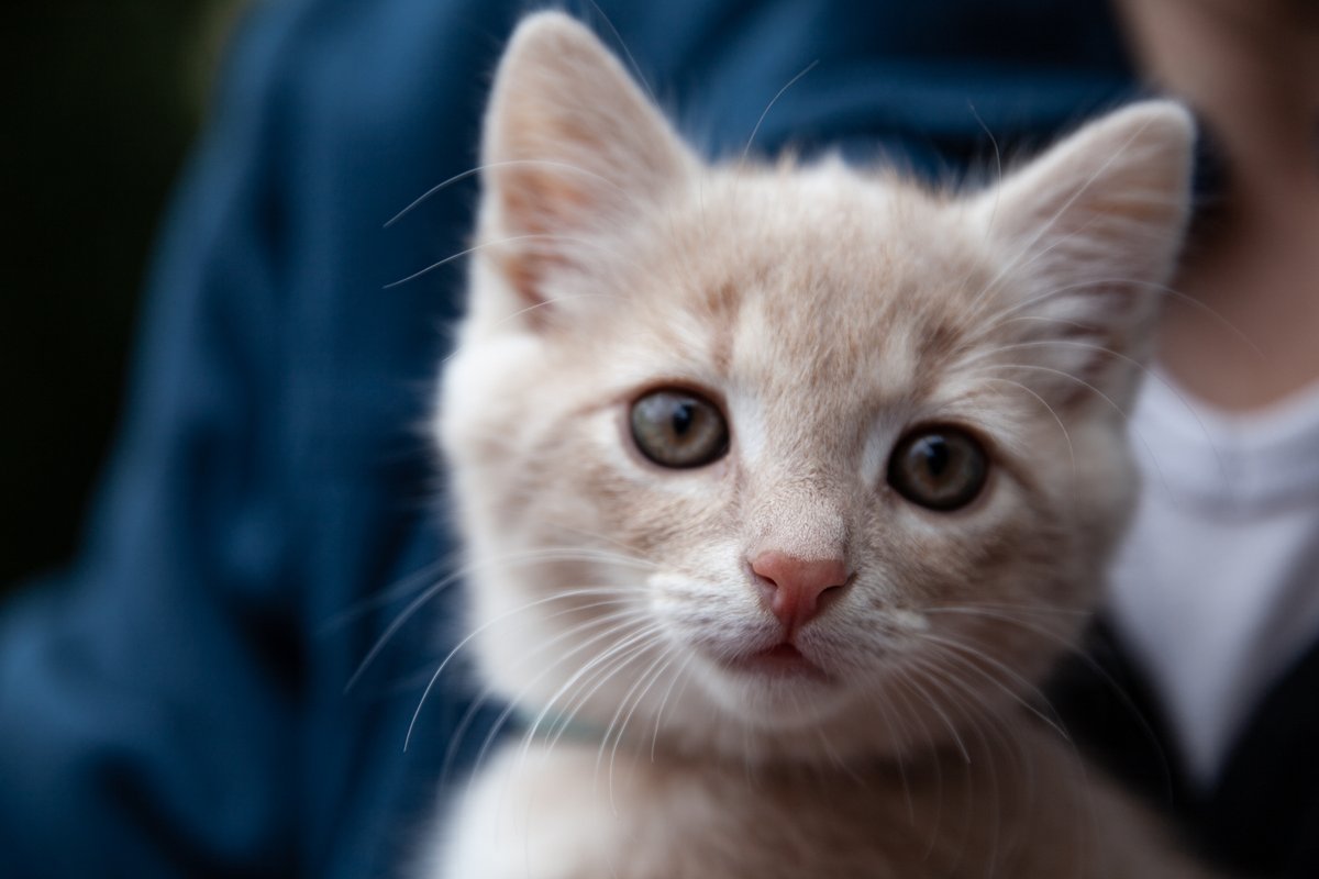 Andrea Bahlinger tweet media